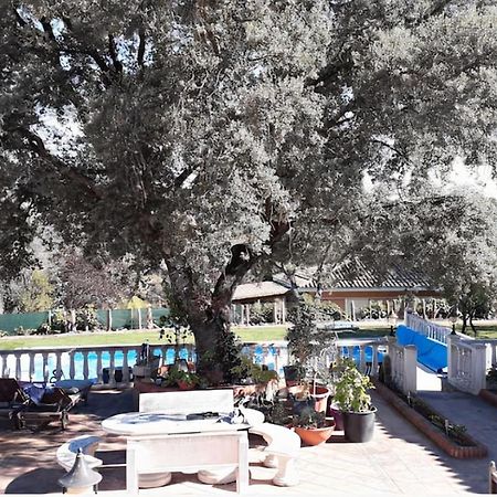 Lovely Home, Cozy Corner In El Bosque, Madrid. Villaviciosa de Odón Екстериор снимка